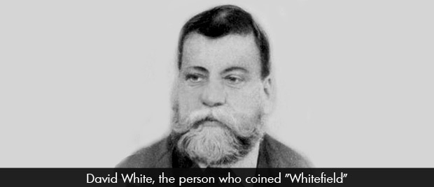 Whitefield – The English Connection