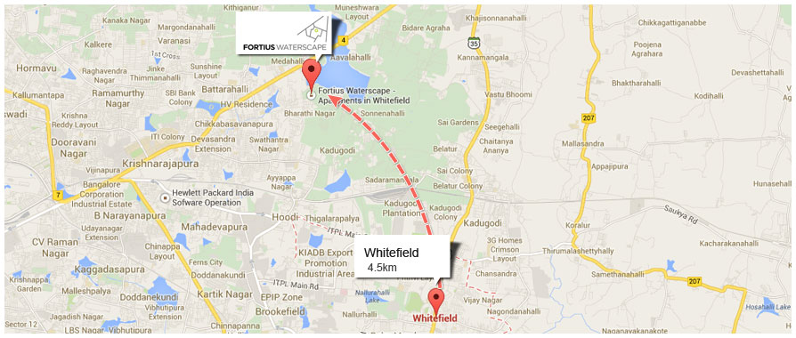 Making Expats Feel at Home in and around Whitefield